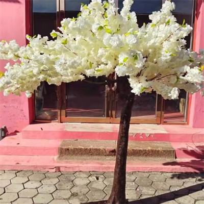 Falso albero di ciliegio bianco